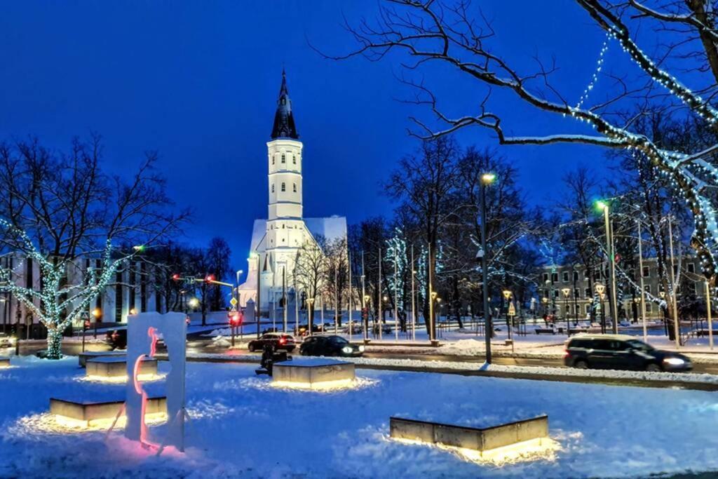 Lyra63 Large 80Sq M Top 14 Floor Šiauliai Eksteriør bilde